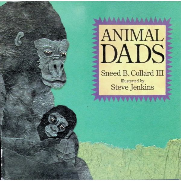 原版儿童绘本3-6岁精装Animal Dads