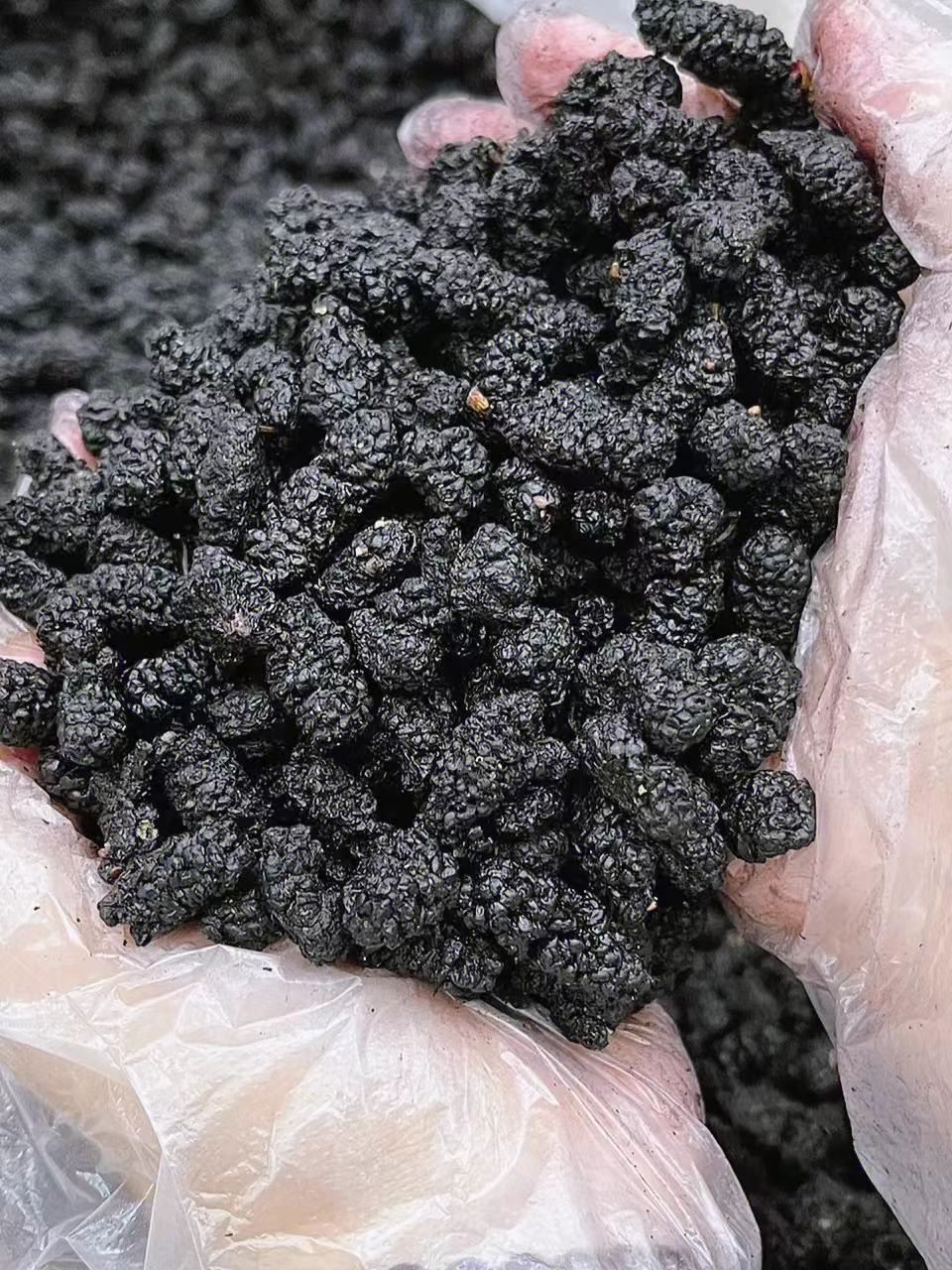 新疆桑葚干，500克，1000克