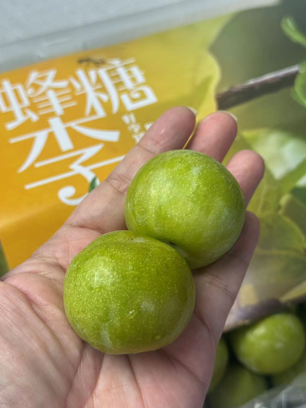 【贵州六马蜂糖李】3斤装 时间到了它才会惊艳四座 蜂糖李·李子届的茅台 这可不是浪得虚名。 熟了甜度超高