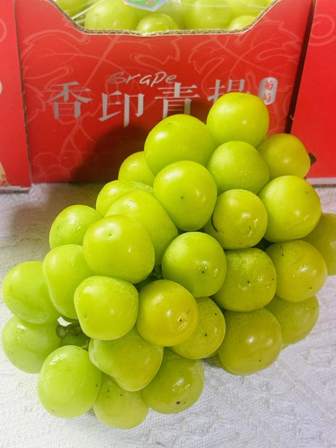 阳光玫瑰礼盒3斤净，爆汁的Q弹果肉 淡淡玫瑰花香 不同于一般葡萄的味道。