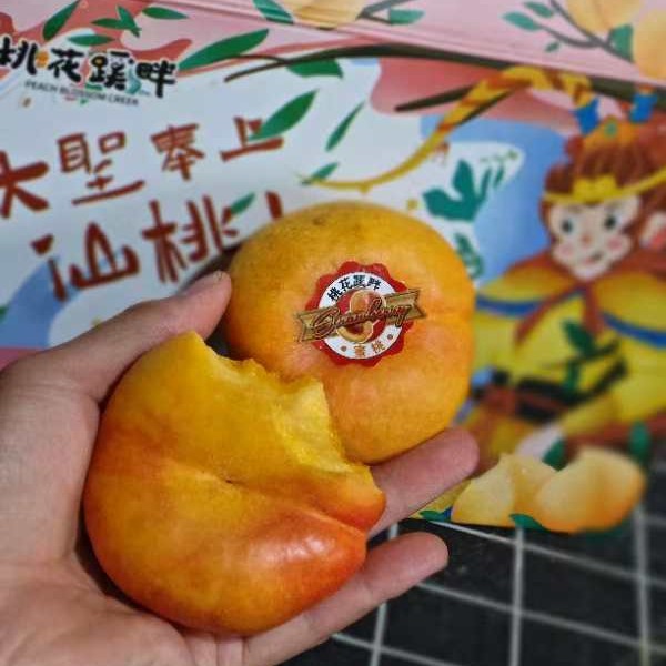 桃花西蹊畔大圣黄油蟠桃/净约3斤