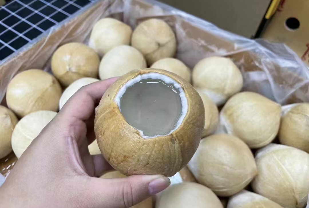 泰国椰皇七枚装