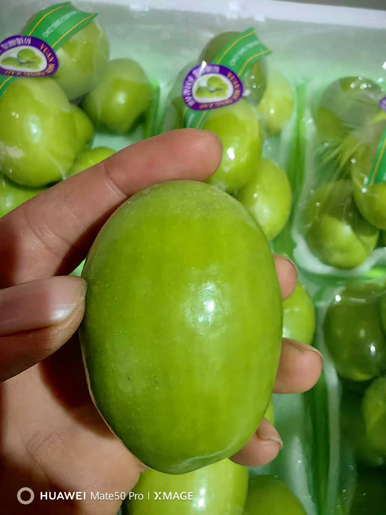 珍珠牛奶枣，脆爽如苹果，多汁似雪梨带着甜甜的奶香！一口咬下去带你“枣”回甜蜜初恋的感觉