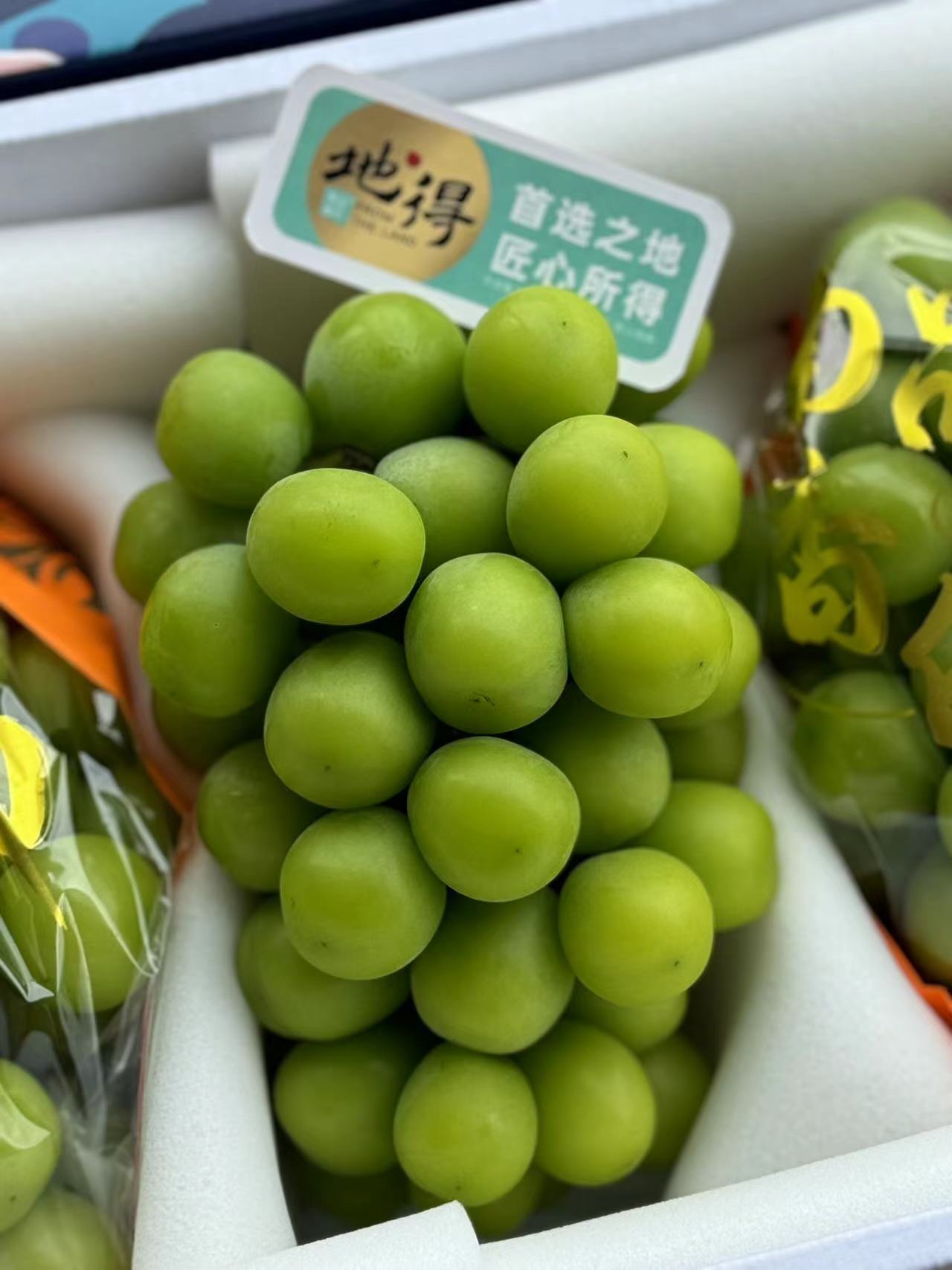 地得 阳光玫瑰4.5斤净礼盒装 升级的更有质感，不止硬、不止甜！不是淡淡的香！超级浓郁的香气在口中绽放的感觉