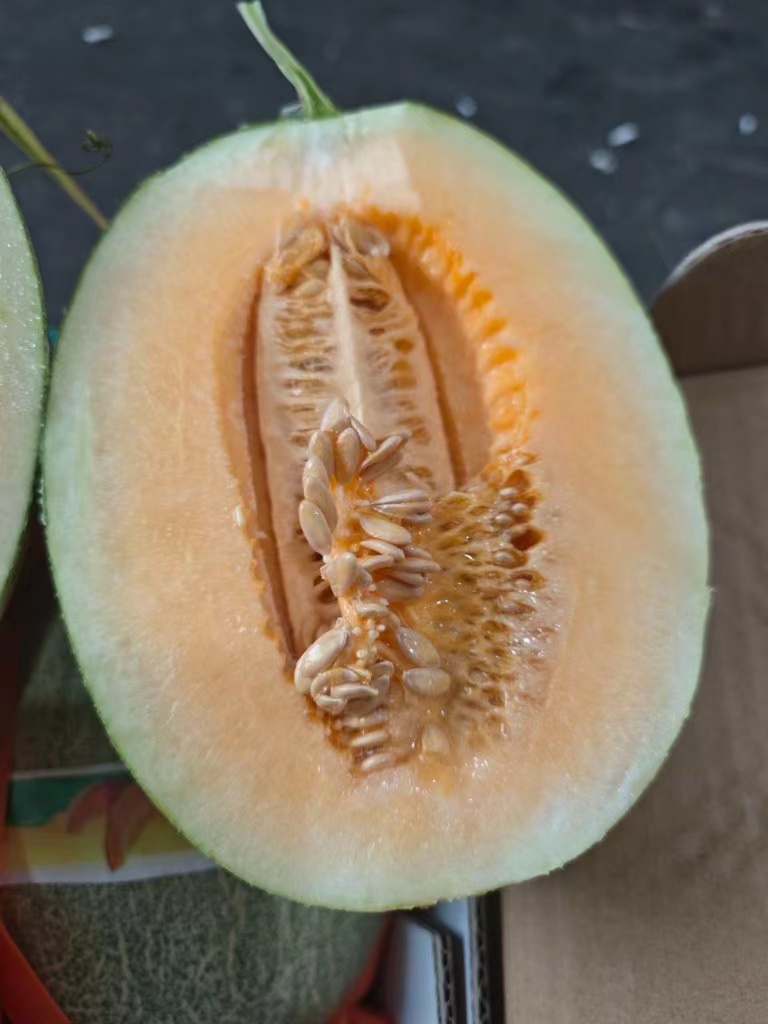 新疆·黄金网纹哈密瓜一个3斤左右，~~哈密瓜中的贵族皇后  有颜值，有内涵，难以想象的甜 ！皮薄如纸、果肉饱满