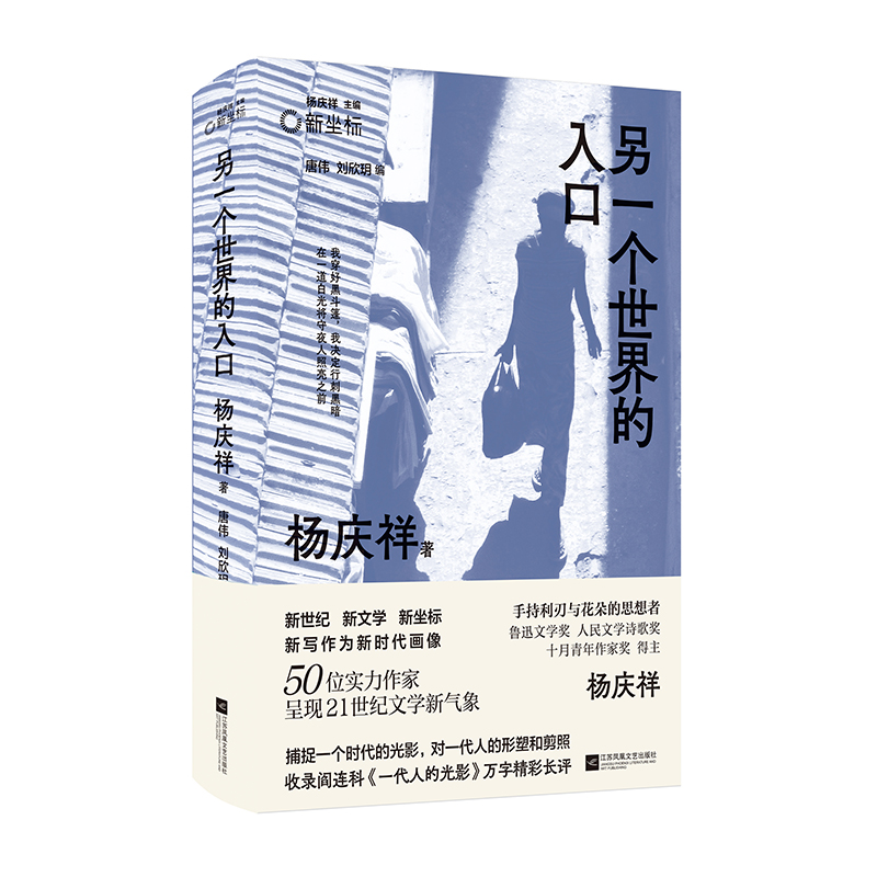 新坐标书系：另一个世界的入口 鲁迅文学奖得主杨庆祥代表作合集  