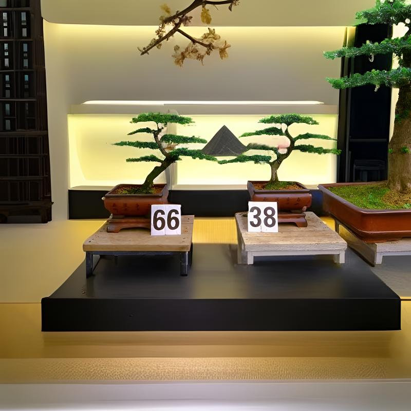 红芽珍珠罗汉松 茶台 玄关 客厅 四季常青 室内室外老桩盆景造型