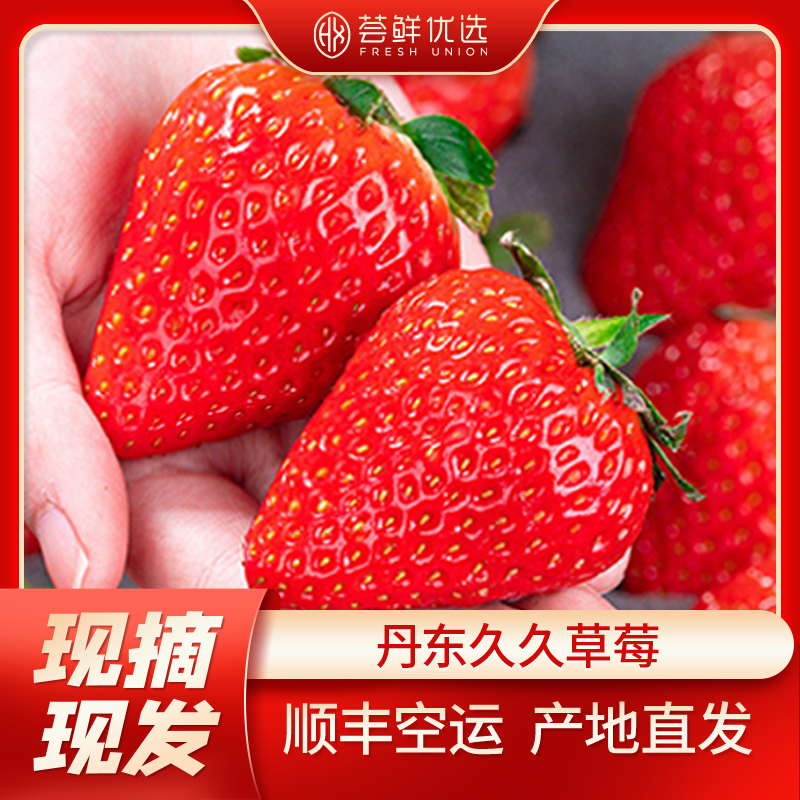 【牛奶草莓】年货正宗丹东久久红颜香甜草莓顺丰包邮优选现摘现发