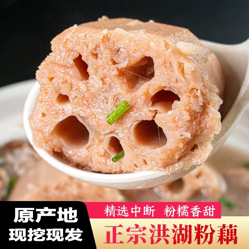 洪湖煲汤粉藕 现挖现发 湖北粉藕莲藕带泥粉藕