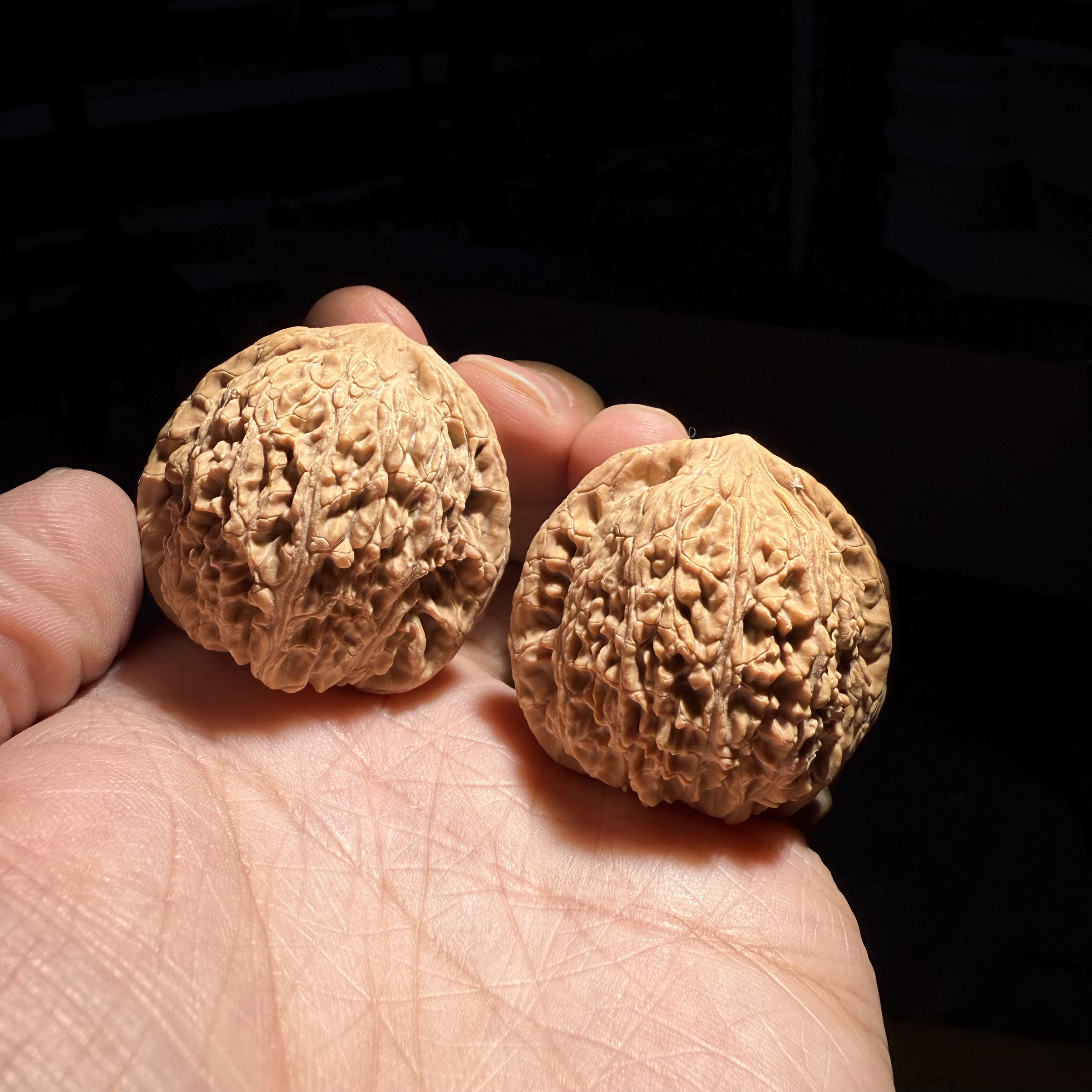 活动「平谷绣球」文玩核桃全品未打药新果（不备注尺寸）