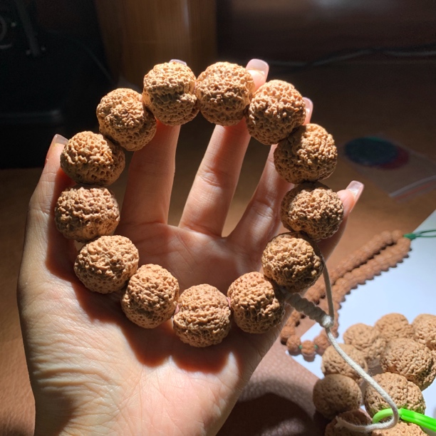 「福利菠萝蜜」蜂王籽尼泊尔大金刚菩提