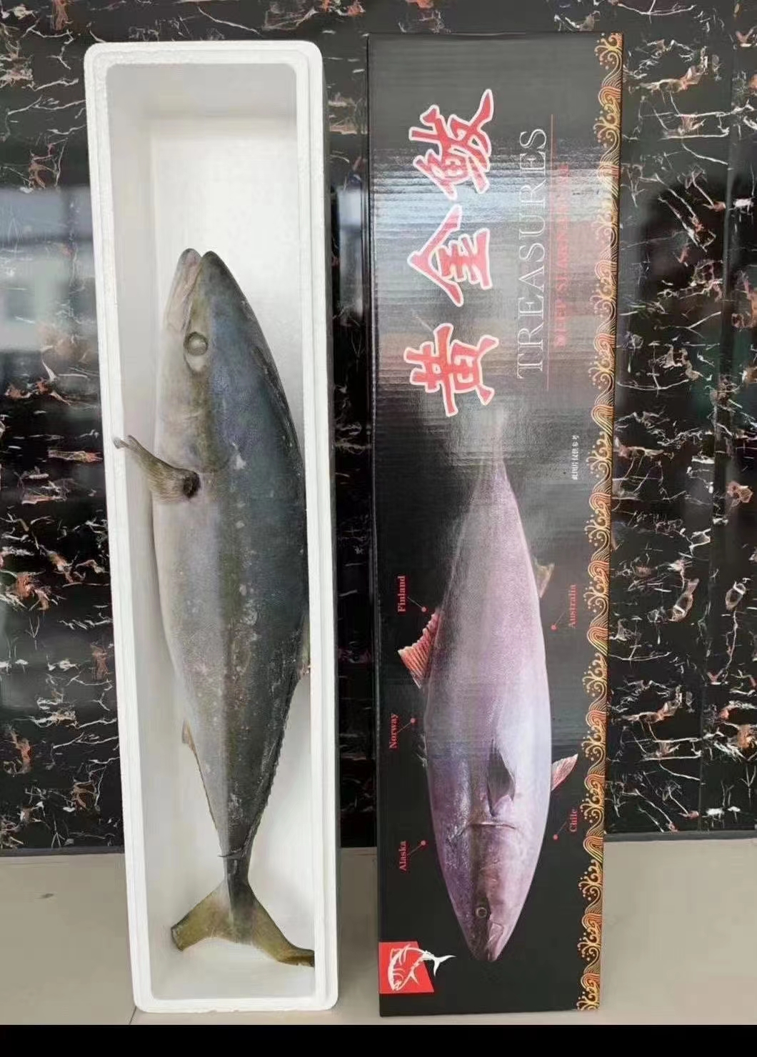 深海黄金大鲅鱼一条8～22斤