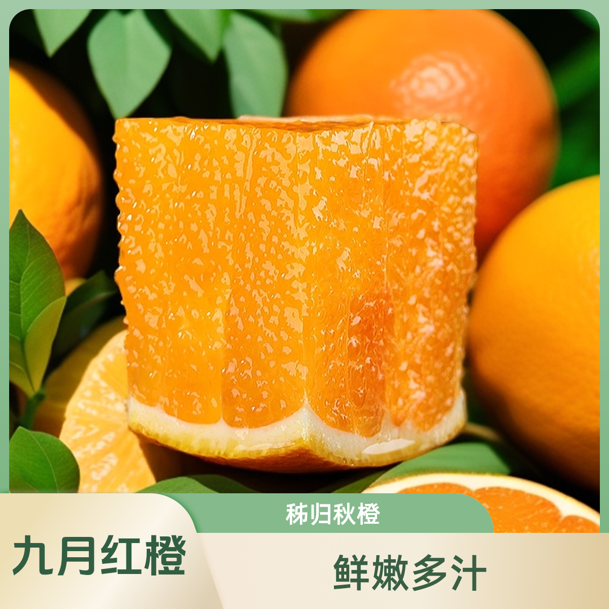 湖北秭归秋橙九月红产地直发3-5斤天然种植无籽果冻橙现摘现发