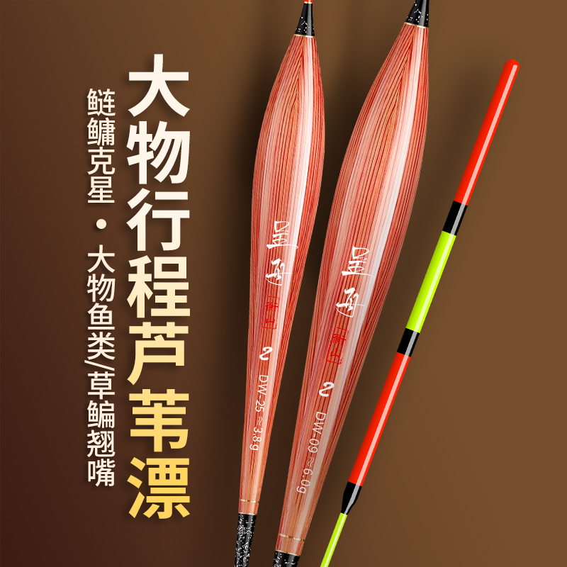 带壳芦苇大物鱼漂鲢鳙漂草鳊翘嘴浮漂加长行程芦苇浮漂加粗漂