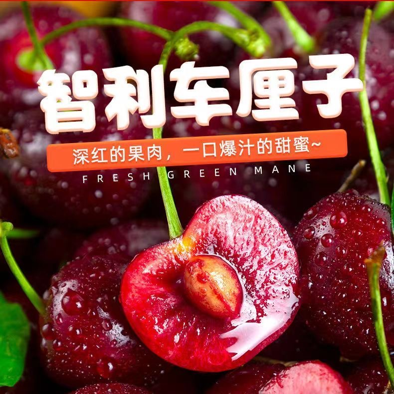 智利进口桑提娜车厘子1/5斤新鲜肉厚签收多汁包赔产品采摘空运