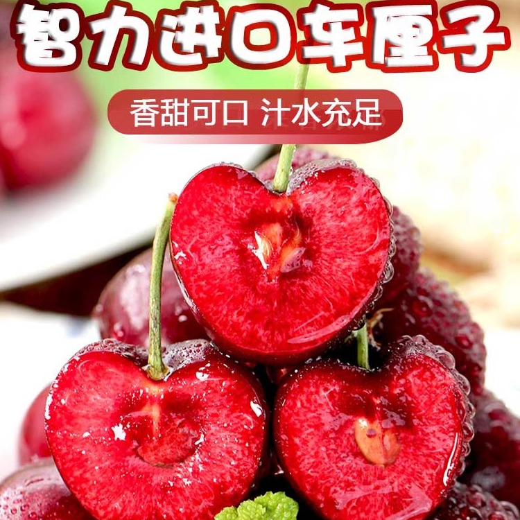 智利进口车厘子1/5斤新鲜脆甜坏果包赔甜美爆汁产地种植产品售后
