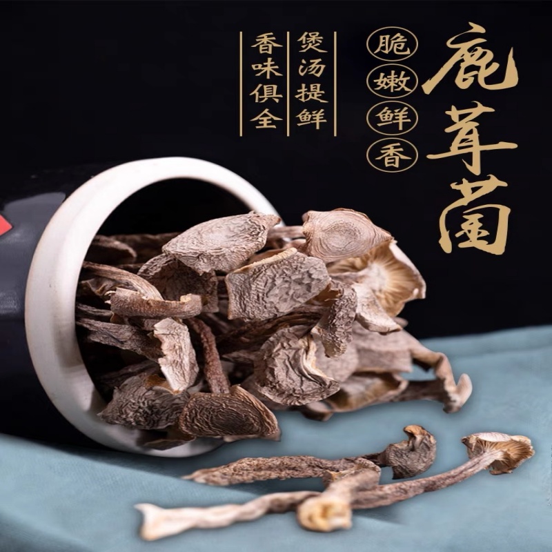 百合干鹿茸菇无硫干货炒菜炖汤煲汤鲜美高品质营养美味炖汤鲜香