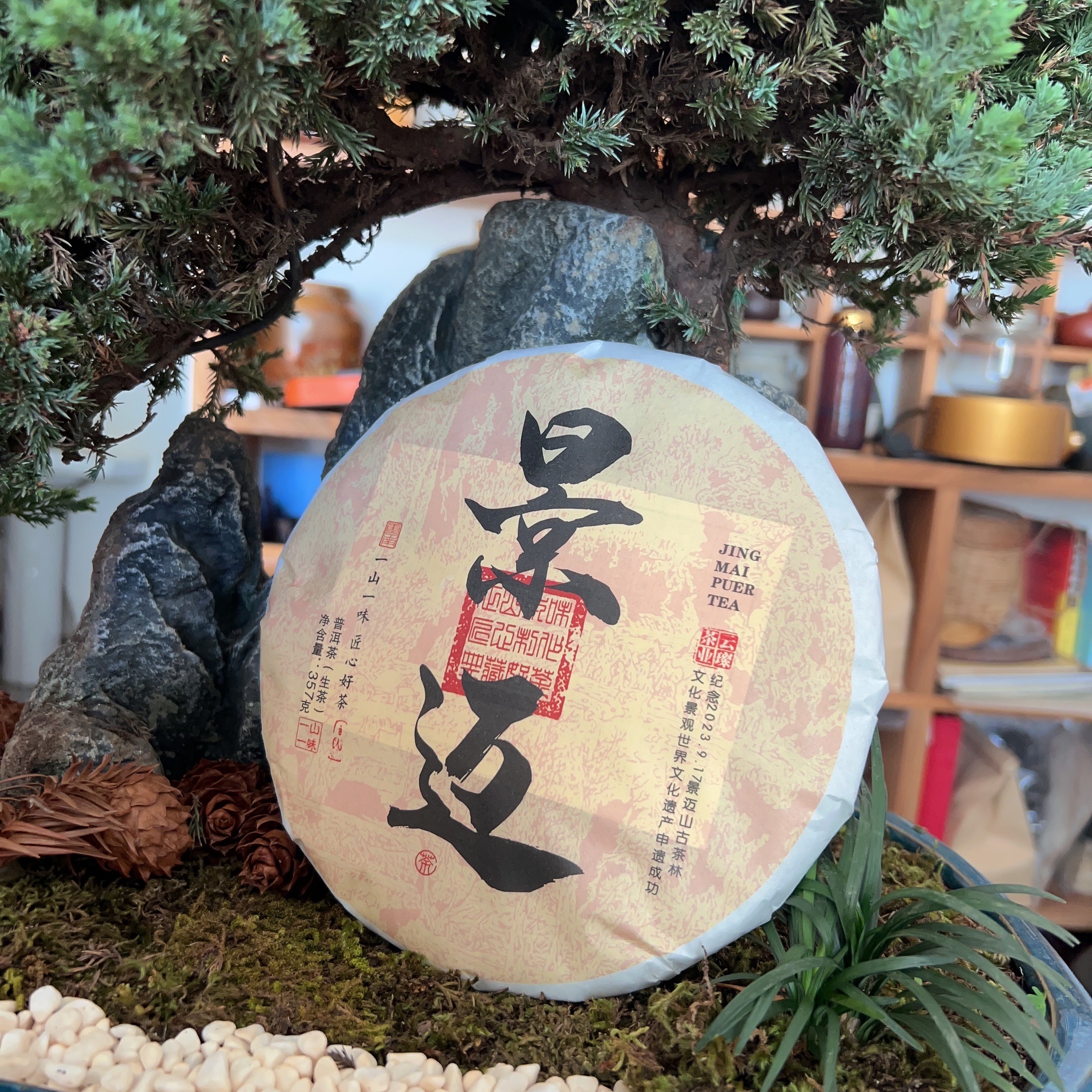 无品牌景迈山生茶/普洱茶生茶/357克/片