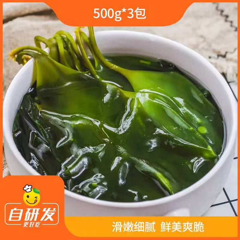 辰颐物语海带苗3斤
