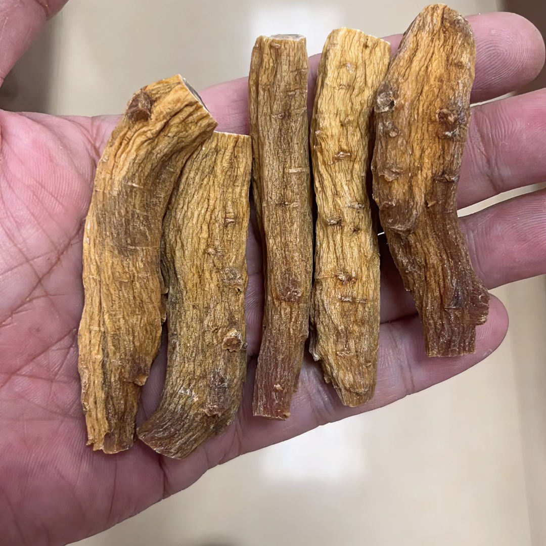 高丽参节高丽参断节