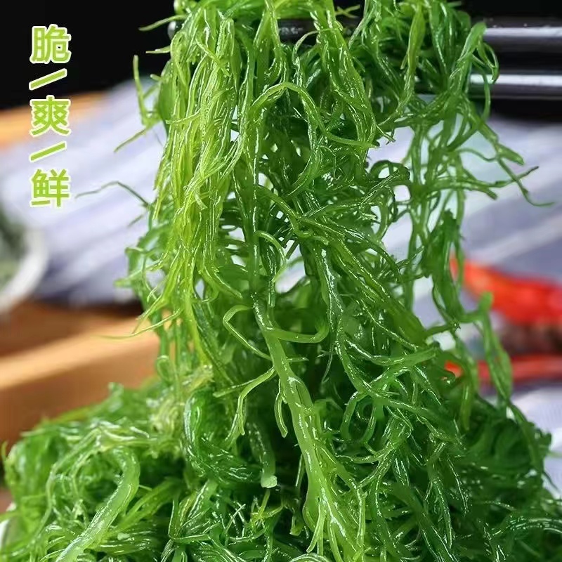 鞭炮笋新鲜海藻盐渍马尾藻海草火炮菜长寿菜250g海藻马尾藻海草菜