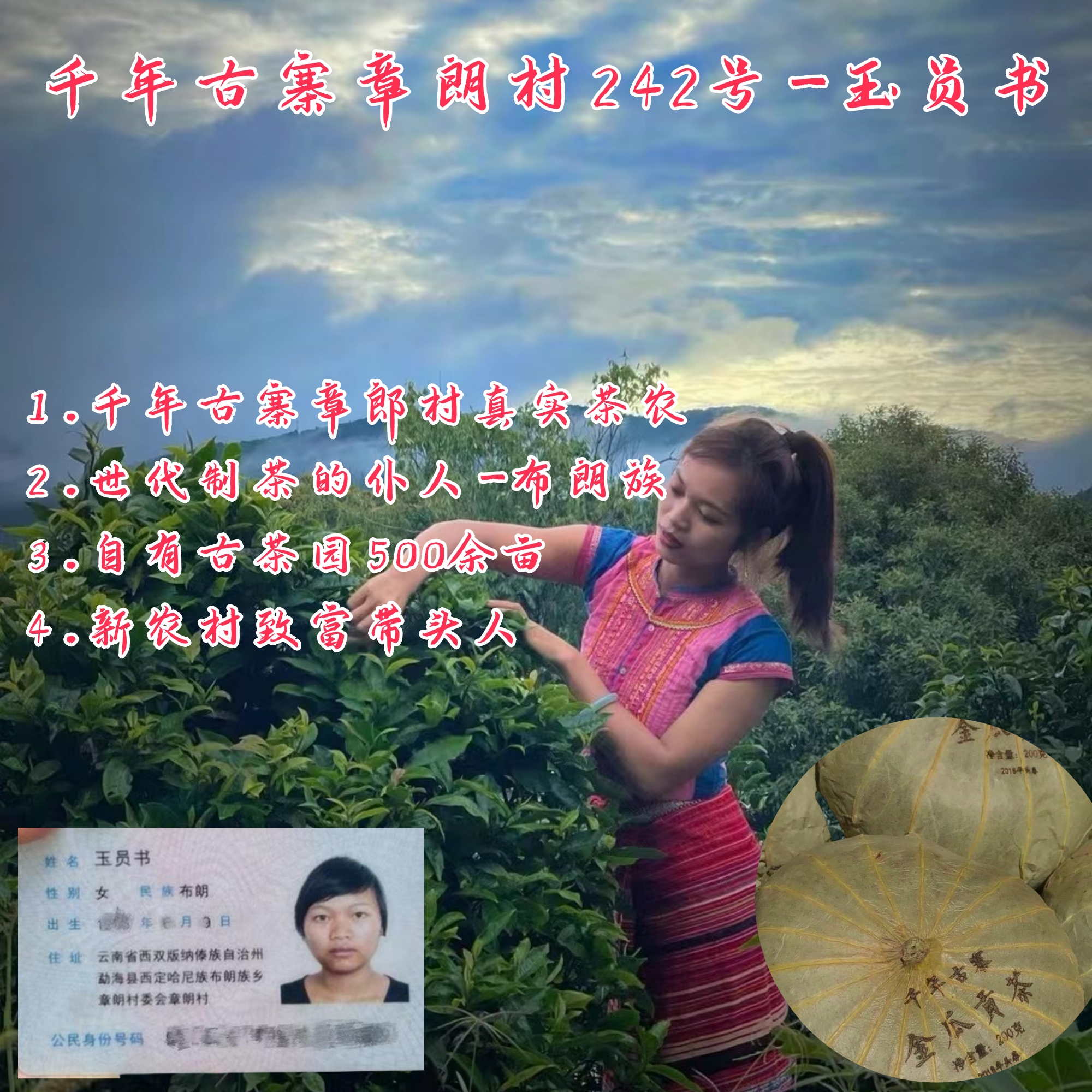 【以茶之铭】千年古茶·章朗·荷叶金瓜贡茶·200克·生茶