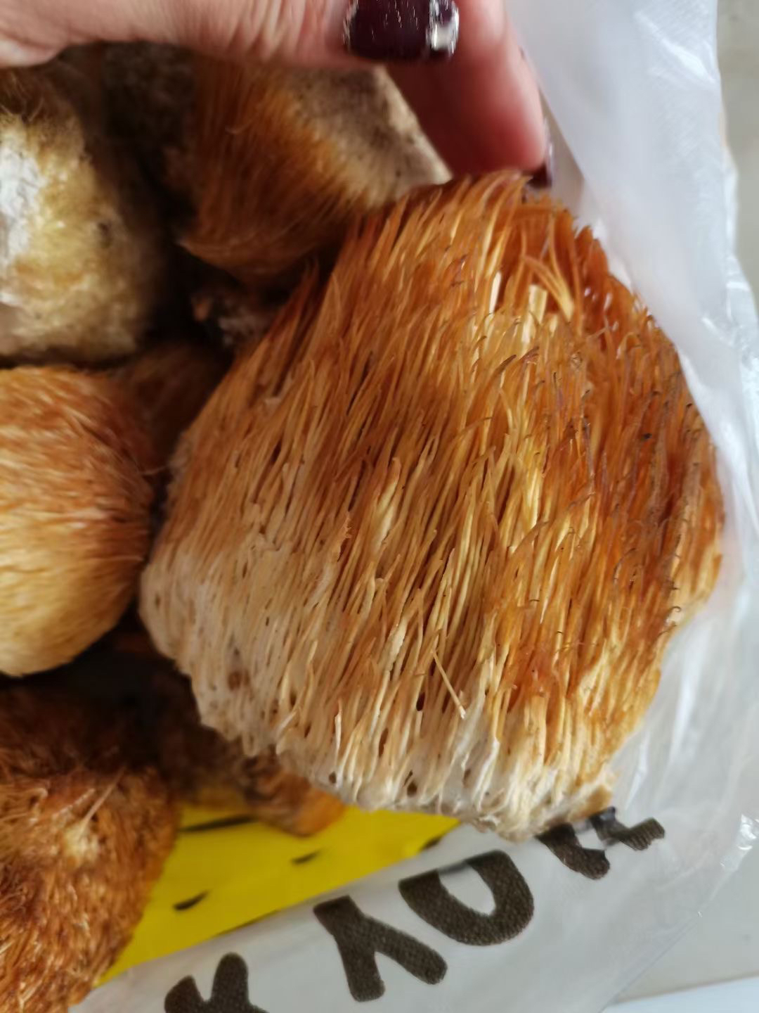 深山野生猴头菇250克