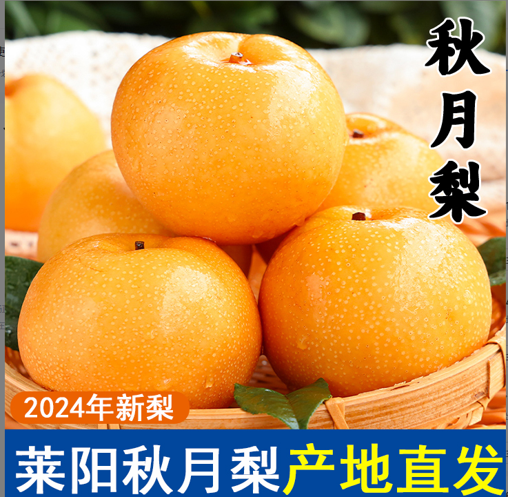 正宗山东秋月梨带箱5斤冰糖梨脆甜多汁皮薄细腻无渣单果300g起