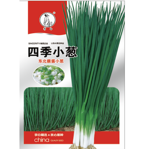 李白四季小葱种子