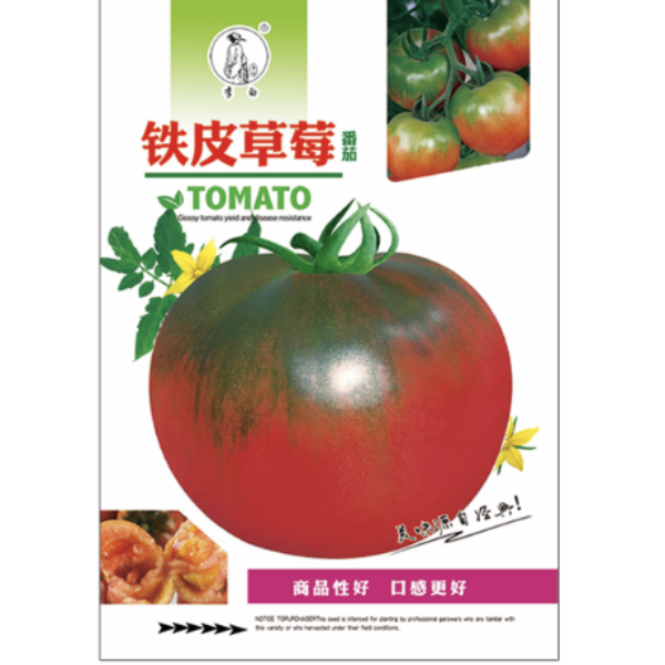 李白铁皮草莓番茄种子
