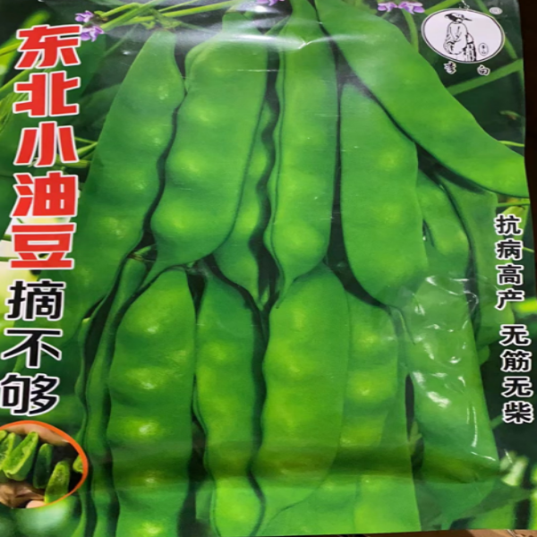 李白东北小油豆豆角种子