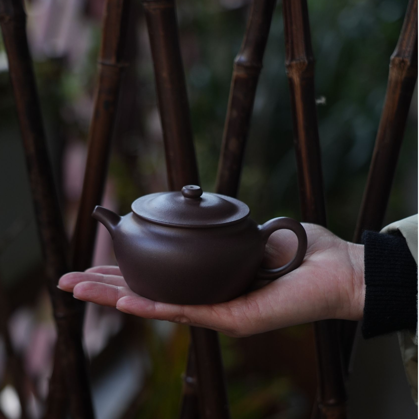 和园唐彬杰门下赵悦彤致远140cc紫砂壶紫泥
