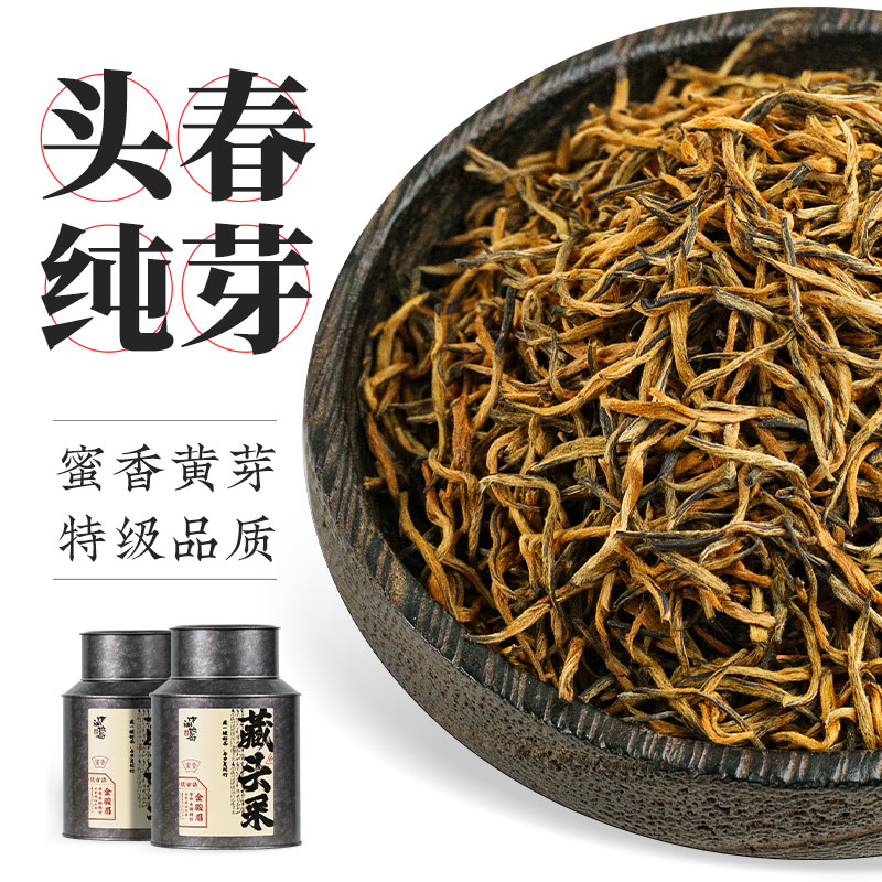 藏头采金骏眉红茶蜜香福建高山新茶浓香型春茶罐装茶叶茶包送礼