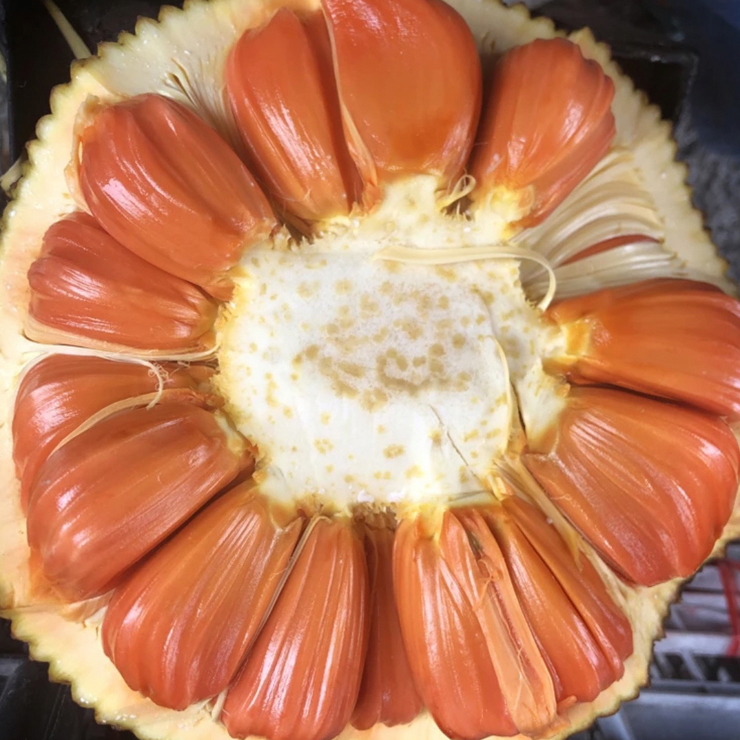 3号链接正宗印尼红菠萝蜜    香甜  分切果