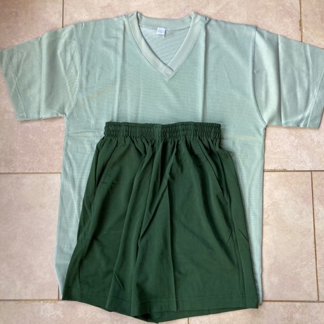 V领豆绿色短袖短裤套装浅绿色体能服套装