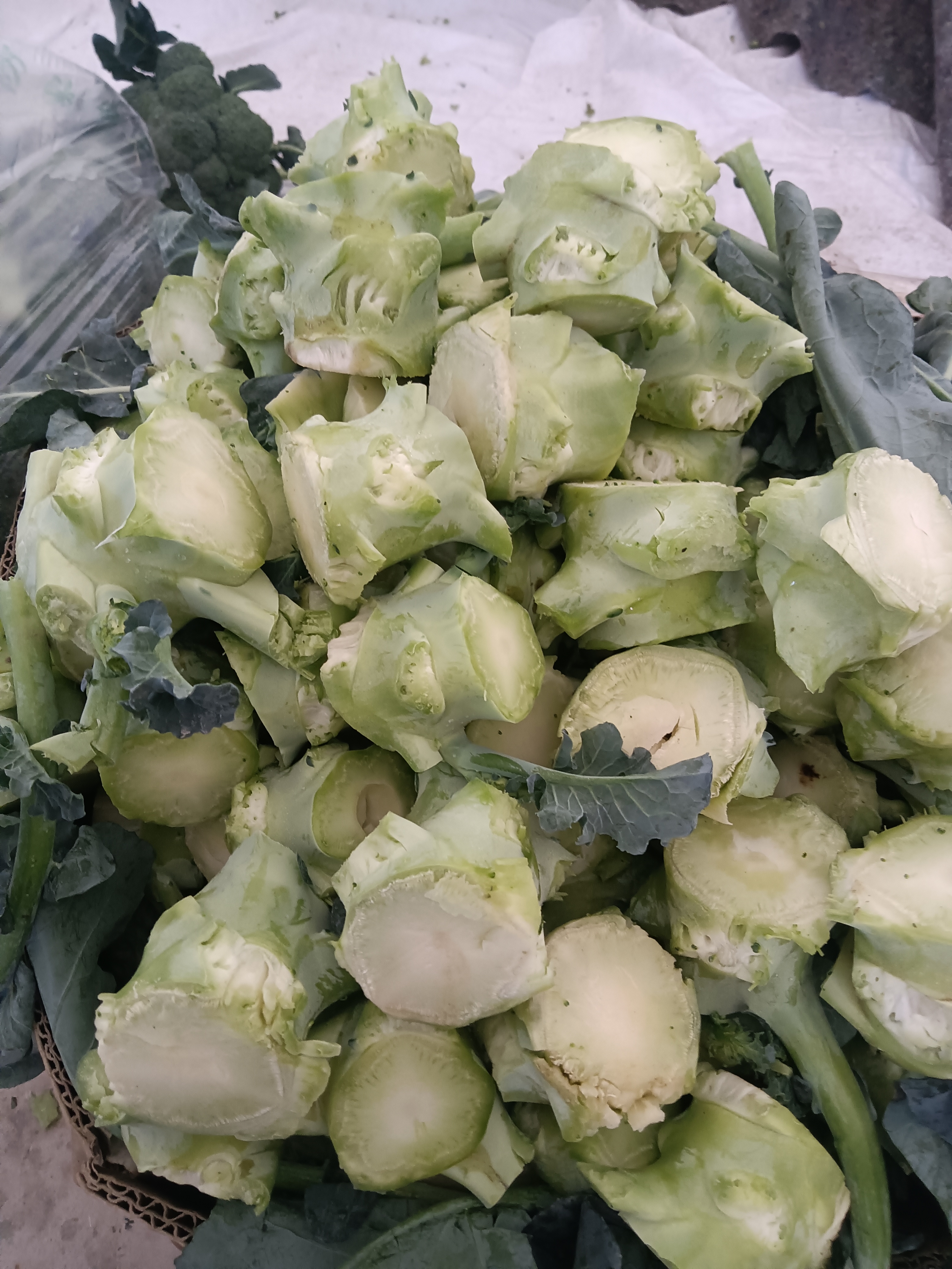 根 根 根 西兰花根 腌制食用 4斤包邮泡沫箱加冰