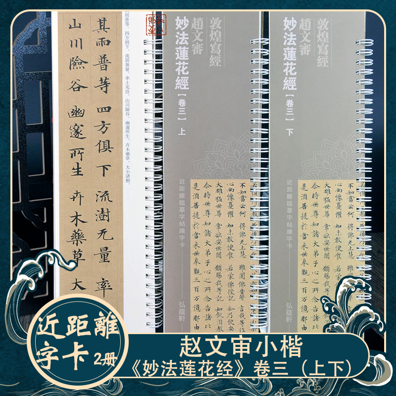 【敦煌写经】赵文审小楷书法字卡妙法莲花经卷三2册近距离毛笔字帖