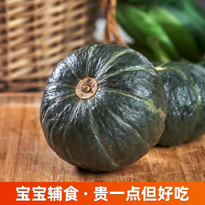 山东真贝贝南瓜粉糯香甜板栗味新鲜宝宝辅食级整批发笋0g