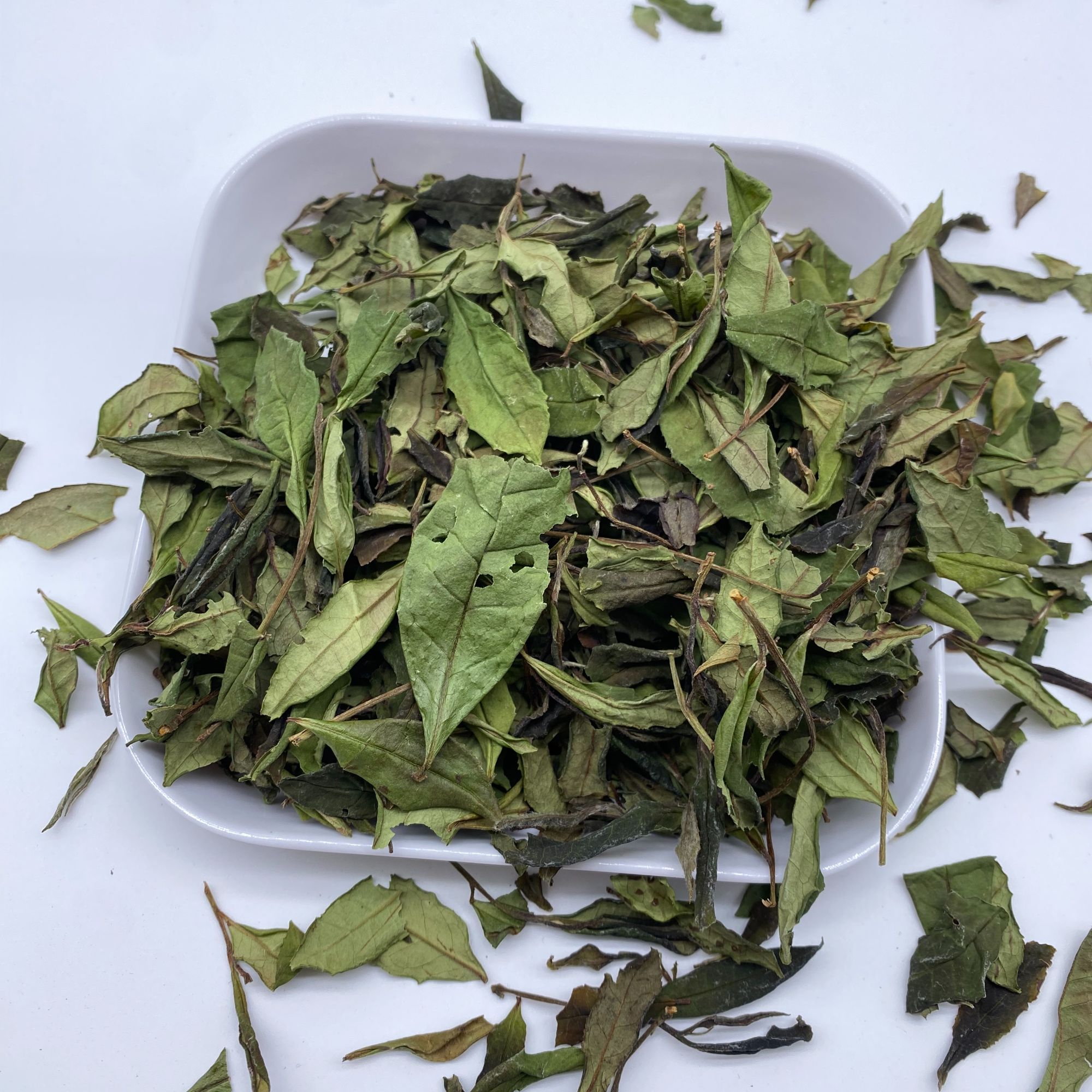 圆凹荒山野贡系  2022年三级贡眉 荒野白茶