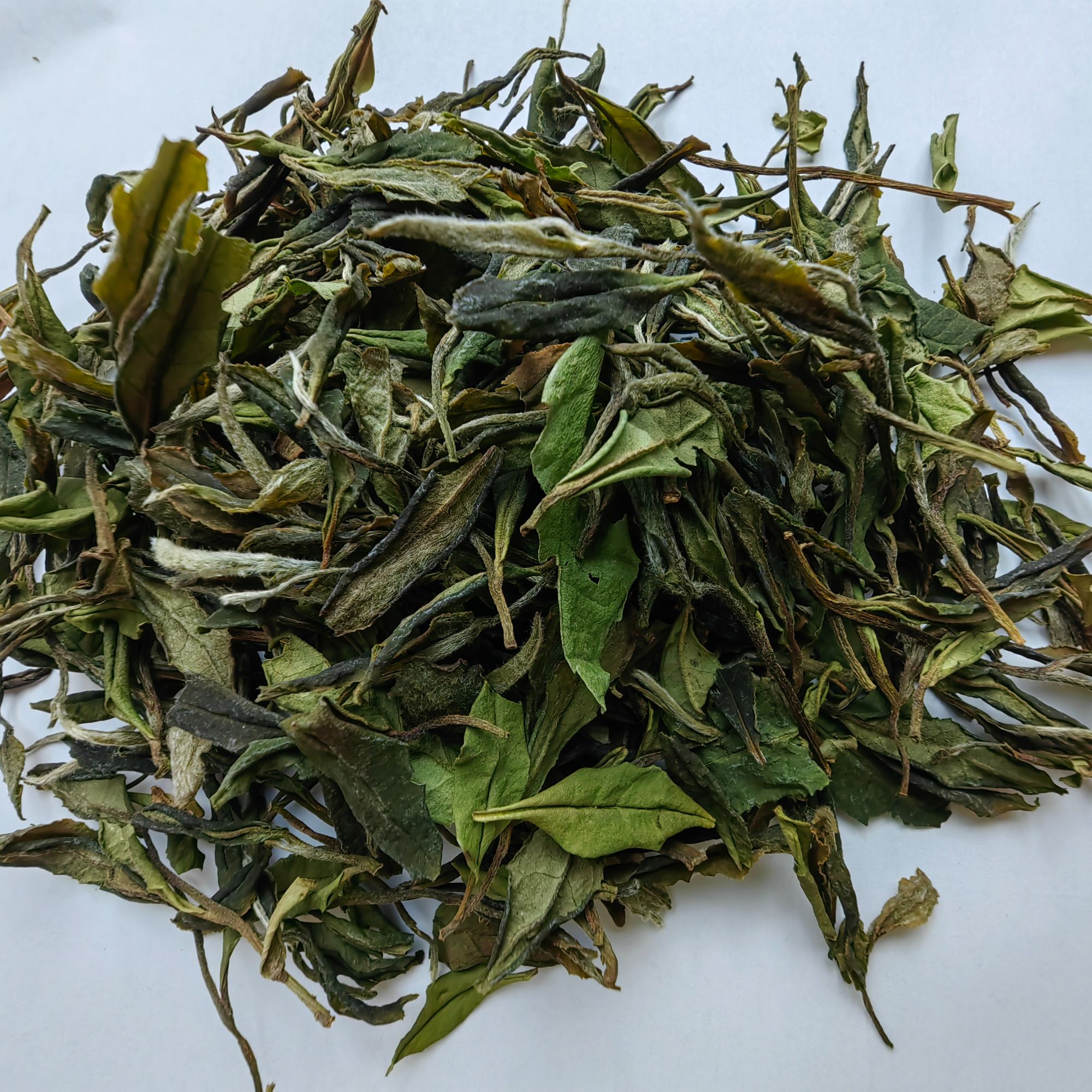 2024年 野枞二级白牡丹250克