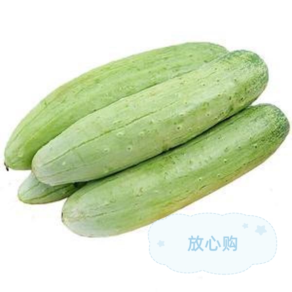 本地  黄瓜一根200～250g