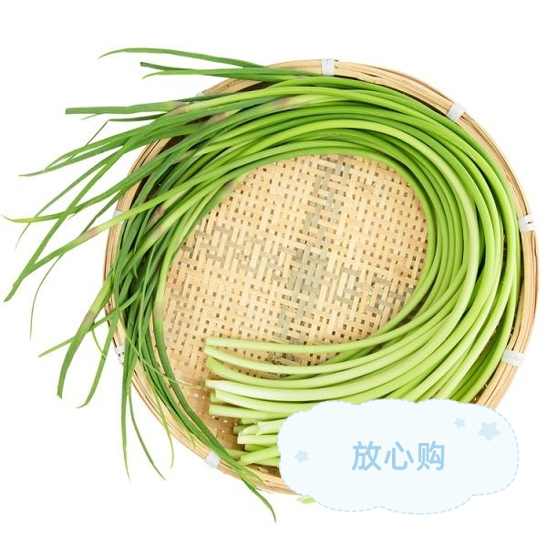 新鲜蒜苔500g