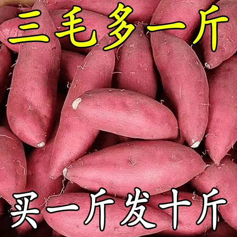 【抢购中】新鲜沙地红薯1-9斤黄心龙九蜜薯超甜番薯地板栗薯蔬菜