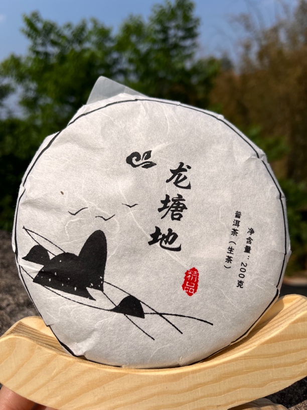 荨麻岭 龙塘地 2023年头春头采 普洱茶生茶（紧压茶）