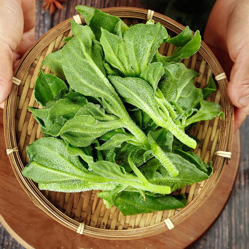 冰菜种子易种高产冰草水晶种籽四季春季冬季种植阳台盆栽蔬菜种子