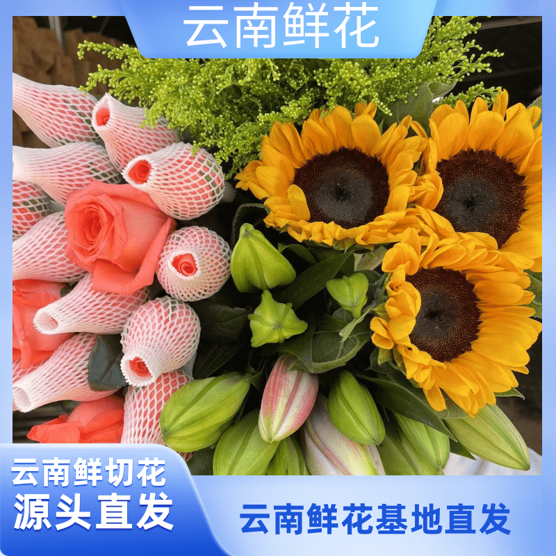 粉玫瑰10枝+百合5朵+向日葵3枝+配草一扎     云南基地直发鲜切花