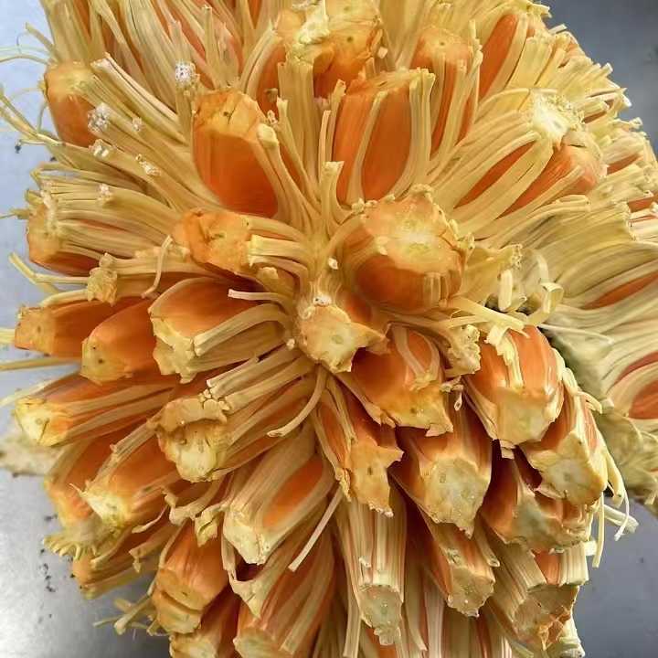 【江浙沪次日达】越南印尼红菠萝蜜净重6斤半个装去芯纯甜包邮（15）