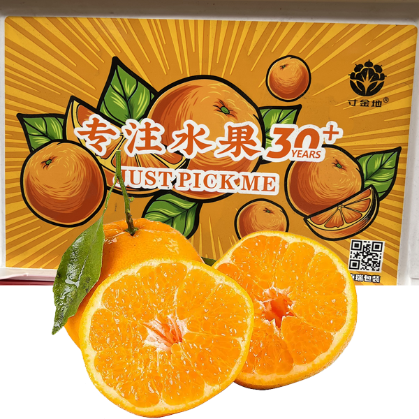 【江浙沪次日达】周谷堆寸金地春见耙耙柑4.3斤清甜果肉细腻（11）