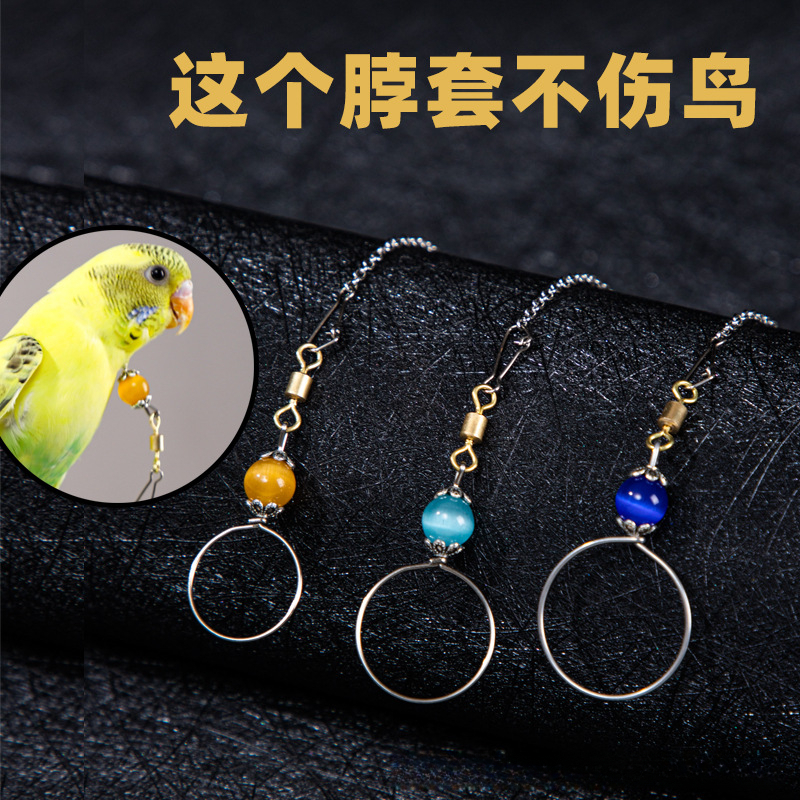 八哥鸟用脖套牡丹玄凤鹦鹉脖圈不锈钢鸟链子创意训鸟用具用品活扣