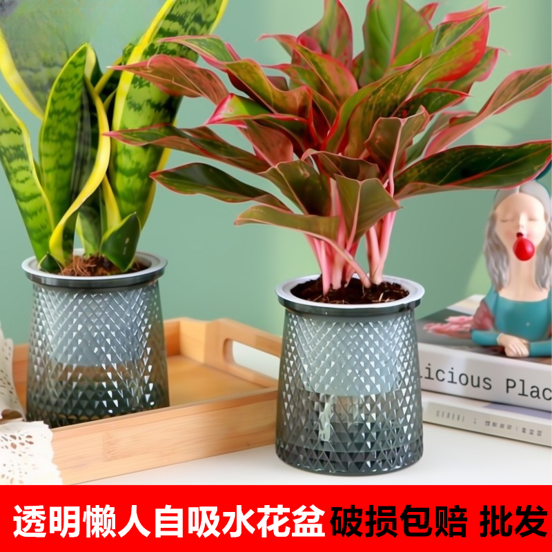 懒人水培花盆塑料多孔自吸水透明盆绿萝北欧简约吊兰绿植花盆器皿